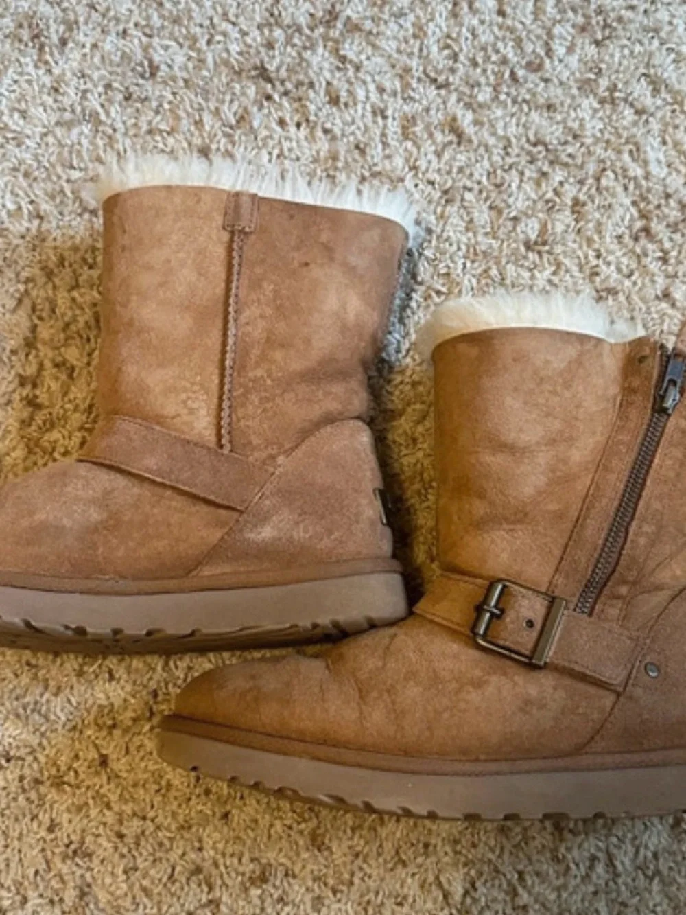 UGG Classic Blaise in Chestnut